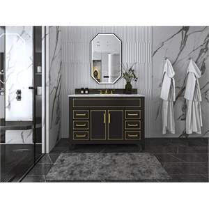 Ancerre Designs Aspen 48&quot Transitional Wood Bathroom Vanity Set in Black Onyx