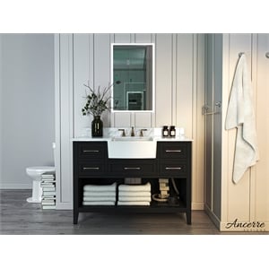 Ancerre Designs Hayley 48&quot Farmhouse Wood Bathroom Vanity Set in Black Onyx