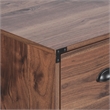 AGHDECO Orman 2-Drawer Wood Lateral Filing Cabinet in Walnut