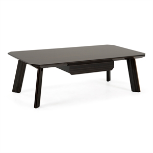 Limari Home Chadwick Wood/Stainless Steel Coffee Table in Ebony Black/Rosegold