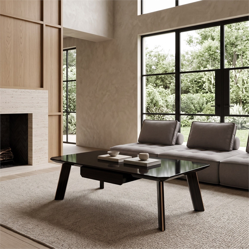 Limari Home Chadwick Wood/Stainless Steel Coffee Table in Ebony Black/Rosegold