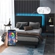 Homycasa Queen Upholstered Bed Frame with LED Headboard & USB Ports Gray