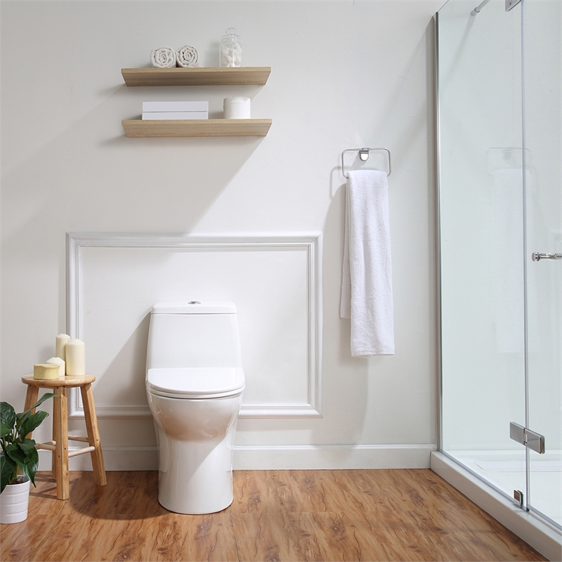 Jade One-Piece Elongated Toilet With Dual Flush and Soft Close Seat