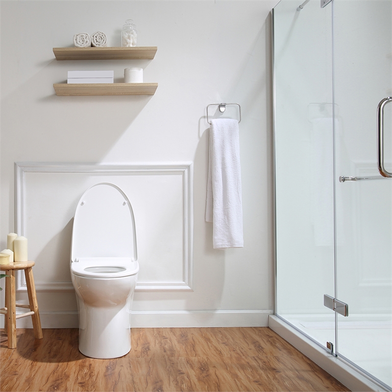 Jade One-Piece Elongated Toilet With Dual Flush and Soft Close Seat