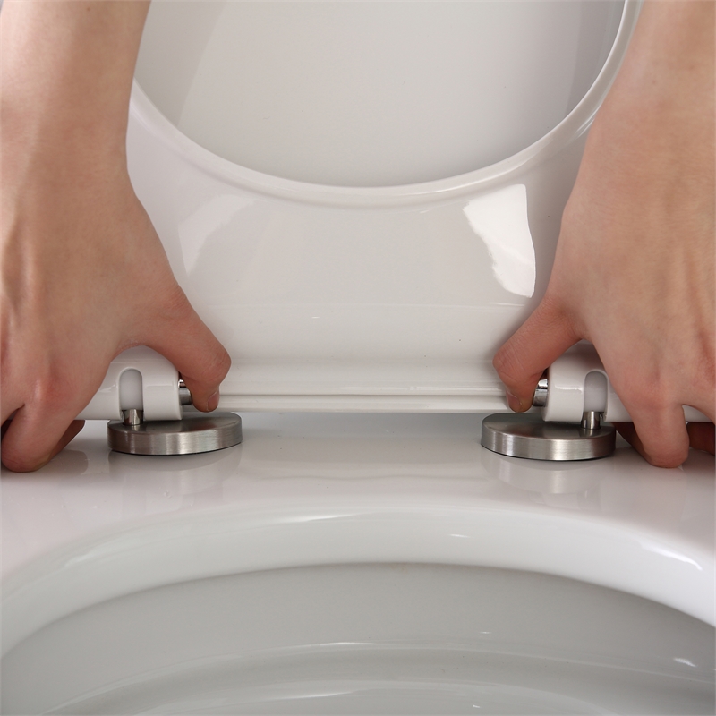 Jade One-Piece Elongated Toilet With Dual Flush and Soft Close Seat