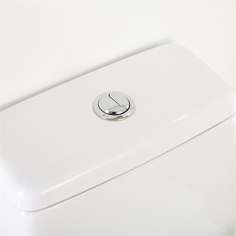 Jade One-Piece Elongated Toilet With Dual Flush and Soft Close Seat