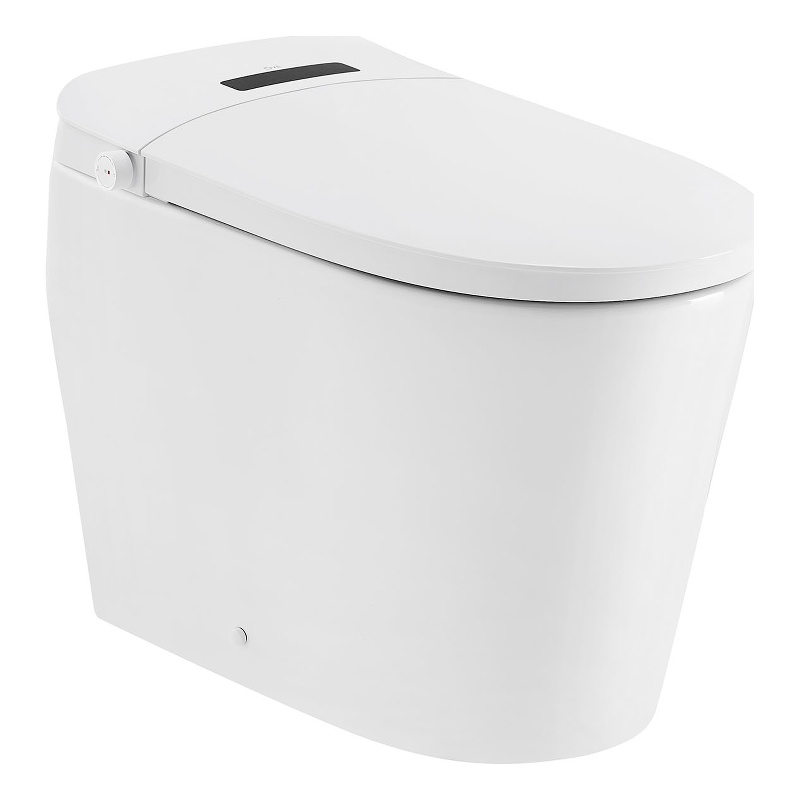 OVE Bradley ADA Dual-Flush Hands-Free Smart Bidet Toilet with White Trim