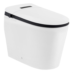 Toilets and Bidets