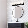 Dove Creek Stainless Steel Bath Light in Matte Black 4-Light
