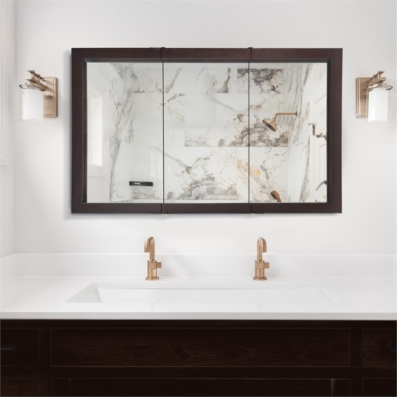 Ventura 48-Inch Assembled Wood Framed Medicine Cabinet Mirror in Espresso