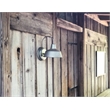 Mason Indoor/Outdoor Silver Stainless Steel Wall Light in Galvanized Paint