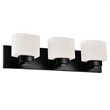 Dove Creek Vanity Light Stainless Steel in Matte Black 3-Light