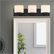 Dove Creek Vanity Light Stainless Steel in Matte Black 3-Light