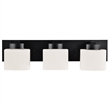 Dove Creek Vanity Light Stainless Steel in Matte Black 3-Light