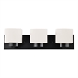 Dove Creek Vanity Light Stainless Steel in Matte Black 3-Light