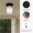 Jelly Jar Indoor/Outdoor Flush Mount Glass Ceiling Light in Black