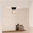 Jelly Jar Indoor/Outdoor Flush Mount Glass Ceiling Light in Black