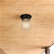 Jelly Jar Indoor/Outdoor Flush Mount Glass Ceiling Light in Black