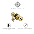 Design House Ball Keyed Brass Entry Door Knob in Polished Brass