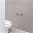 Design House Ames Stainless Steel Toilet Paper Holder in Brushed Nickel/Silver
