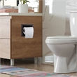 Design House Millbridge Metal Recessed Toilet Paper Holder in Matte Black