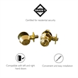Design House Terrace Brass Entry Door Knob and Deadbolt in Polished Brass