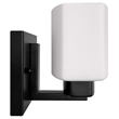 Design House Dove Creek Glass Wall Light in Black