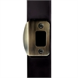 Design House Round Corner Stainless Steel Deadbolt Strike Plate in Antique Brass