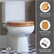 Design House Dalton Wood Round Soft Close Toilet Seat in Oak