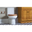 Design House Dalton Wood Round Soft Close Toilet Seat in Oak
