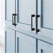 Caster Drawer Pull 33/4Inch Center to Center in Matte Black 10Pack