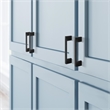 Caster Drawer Pull 3Inch Center to Center in Matte Black 10Pack