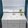 Brookings Bath Vanity Assembled 49x22 - Gray Base and Solid White Top