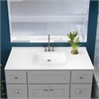 Brookings Bath Vanity Assembled 49x22 - Gray Base and Camilla II Top