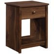 Sauder River Ranch Engineered Wood Night Stand in Grand Walnut
