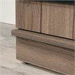 Sauder HomePlus 2-Barn Door Engineered Wood Narrow Storage Cabinet in Salt Oak