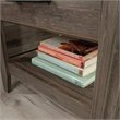 Sauder Summit Station Engineered Wood Night Stand in Pebble Pine