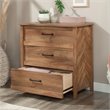 Sauder Cannery Bridge Engineered Wood 3-Drawer Chest in Sindoori Mango/Brown