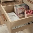 Sauder Whitaker Point Engineered Wood Executive Desk in Natural Maple