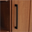 Sauder Homeplus Engineered Wood Storage Cabinet in Sienna Oak Finish