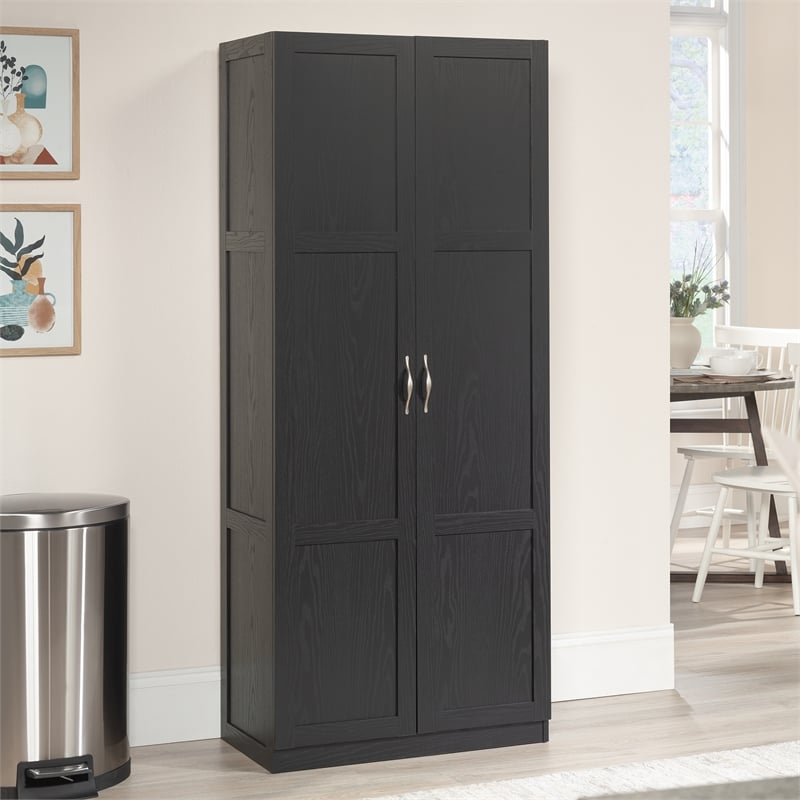 Sauder Select Engineered Wood Storage Cabinet in Black Finish