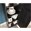 Sauder Miscellaneous Storage Engineered Wood Cabinet in Raven Oak