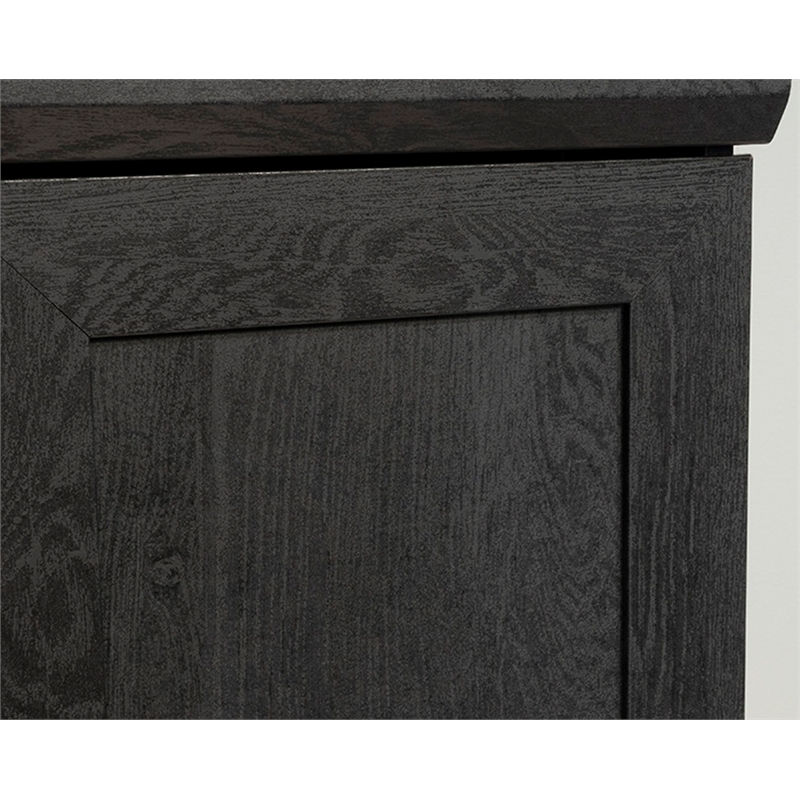 Sauder HomePlus Storage Engineered Wood Cabinet in Raven Oak