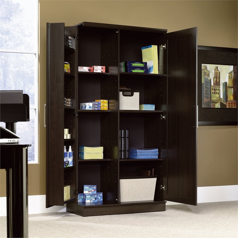 Sauder HomePlus Engineered Wood Storage Cabinet in Dakota Oak