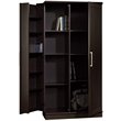 Sauder HomePlus Engineered Wood Storage Cabinet in Dakota Oak