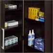 Sauder HomePlus Engineered Wood Storage Cabinet in Dakota Oak