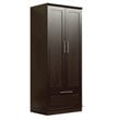 Sauder HomePlus Engineered Wood Wardrobe Armoire in Dakota Oak Finish