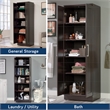 Sauder Homeplus Engineered Wood Storage Cabinet in Dakota Oak