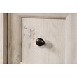 Sauder Edge Water Engineered Wood Computer Desk in Chalked Chestnut