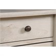 Sauder Edge Water Engineered Wood 2-Door Chest in Chalked Chestnut